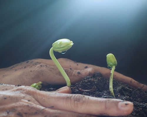 therapy-applied-psychology-oxford